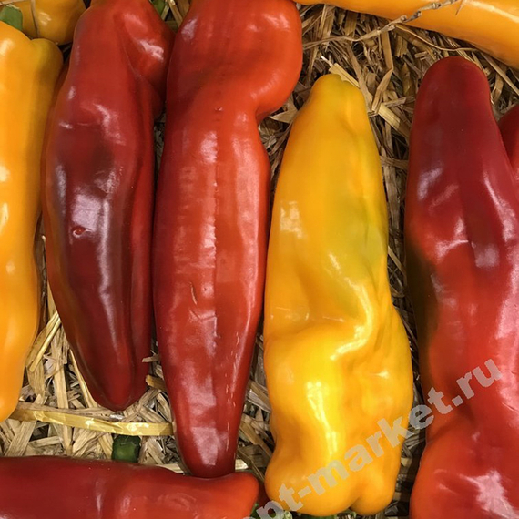 ПАЛЕРМО F1 семена перца сладкого (Rijk Zwaan | Alexagro) – фото 7