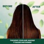 SH-RD Эссенция для укрепления корней волос SH-RD Intensive Root Repair Essence 50 мл