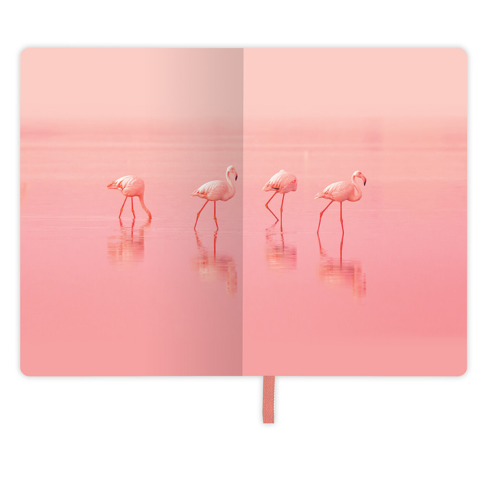 Блокнот малый ФОРМАТ (100х150 мм) А6 BRAUBERG VISTA "Flamingo" под кожу гибкий тиснение фольга 80 л. (2 штуки в упаковке)