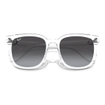 Очки RayBan Logo, 0RB4401D-64478G