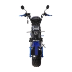Электроскутер SKYBOARD Volga BR20 2WD 4000W