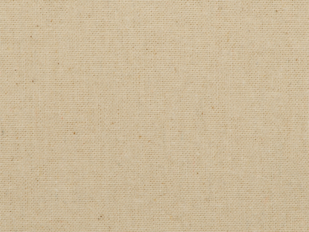 Сумка из плотного хлопка «Carryme 220»