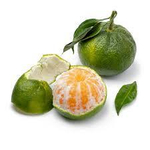 Зелёный мандарин