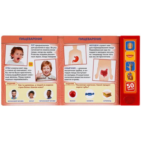 Говорящая энциклопедия Тело человека (5 кн. 50 звуков) 200х175мм 10стр Умка