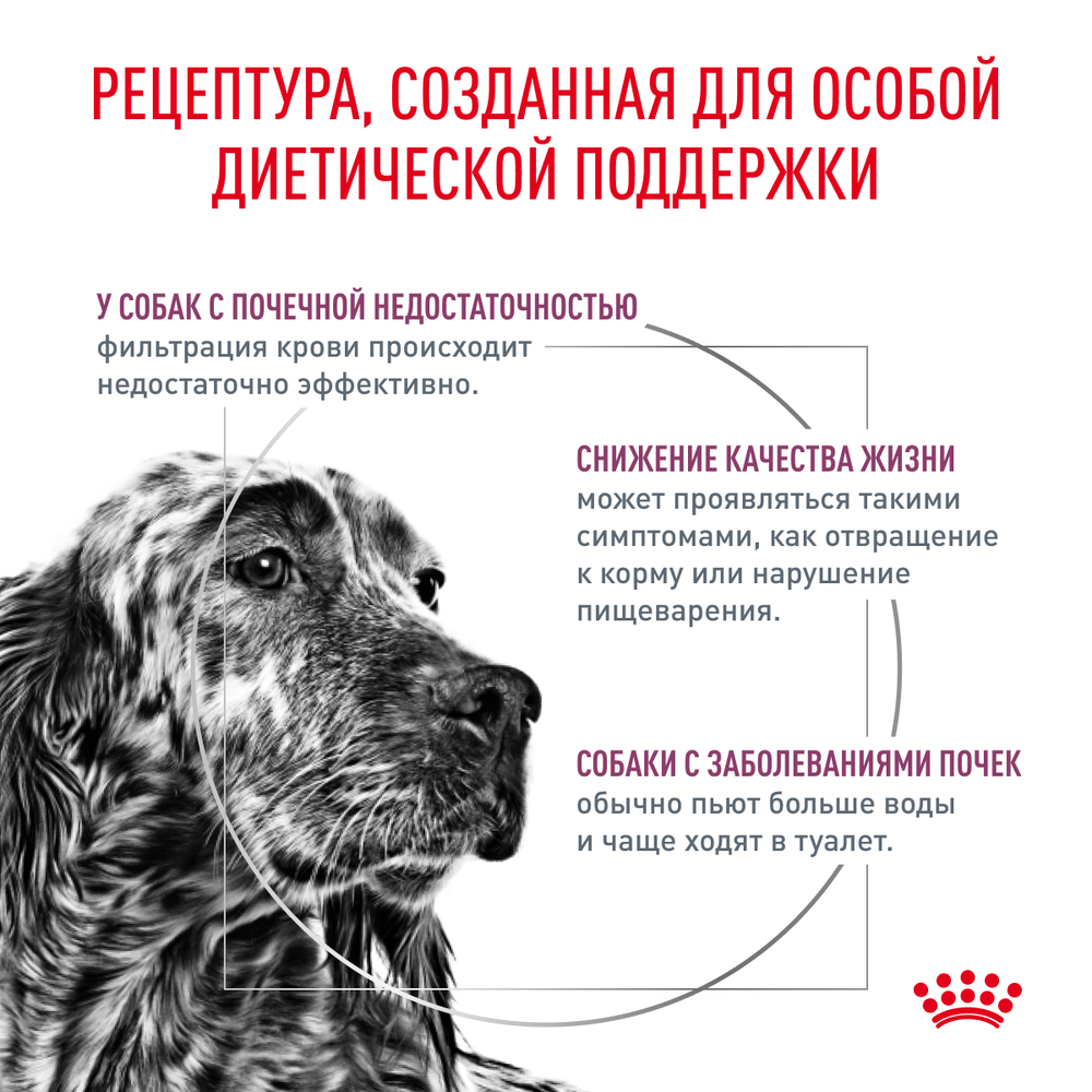 ROYAL CANIN Renal Диетический корм для собак при хронической почечной недостаточности, 2 кг