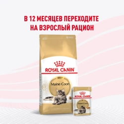Royal canin kitten maine coon 85 г пауч влажный рацион для кошек породы мейн-кун в возрасте от 3 до 15 месяцев