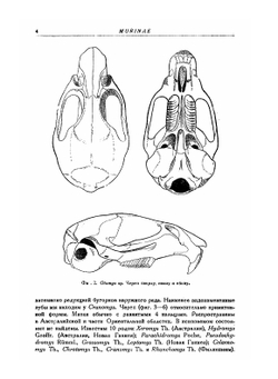 Фауна СССР. Млекопитающие. Том III. Выпуск 5. Сем. Muridae - Мыши. | Аргиропуло А.И.