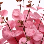 Искусственные цветы «FLOWERS MAGIC» 50см Эвкалипт розовый