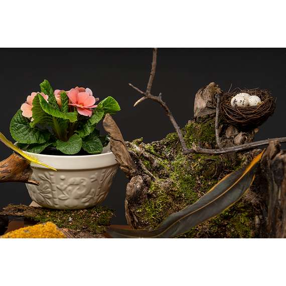 Чаша birds of paradise, 850 мл, кремовая