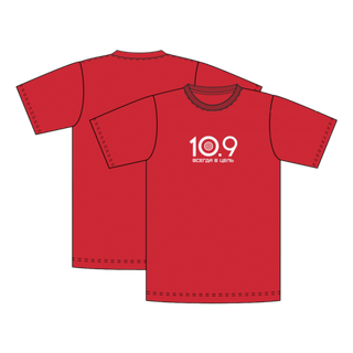 Футболка 10.9 меланж