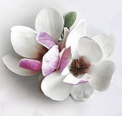 Стеновая панель 2800*610*6 (M 29)