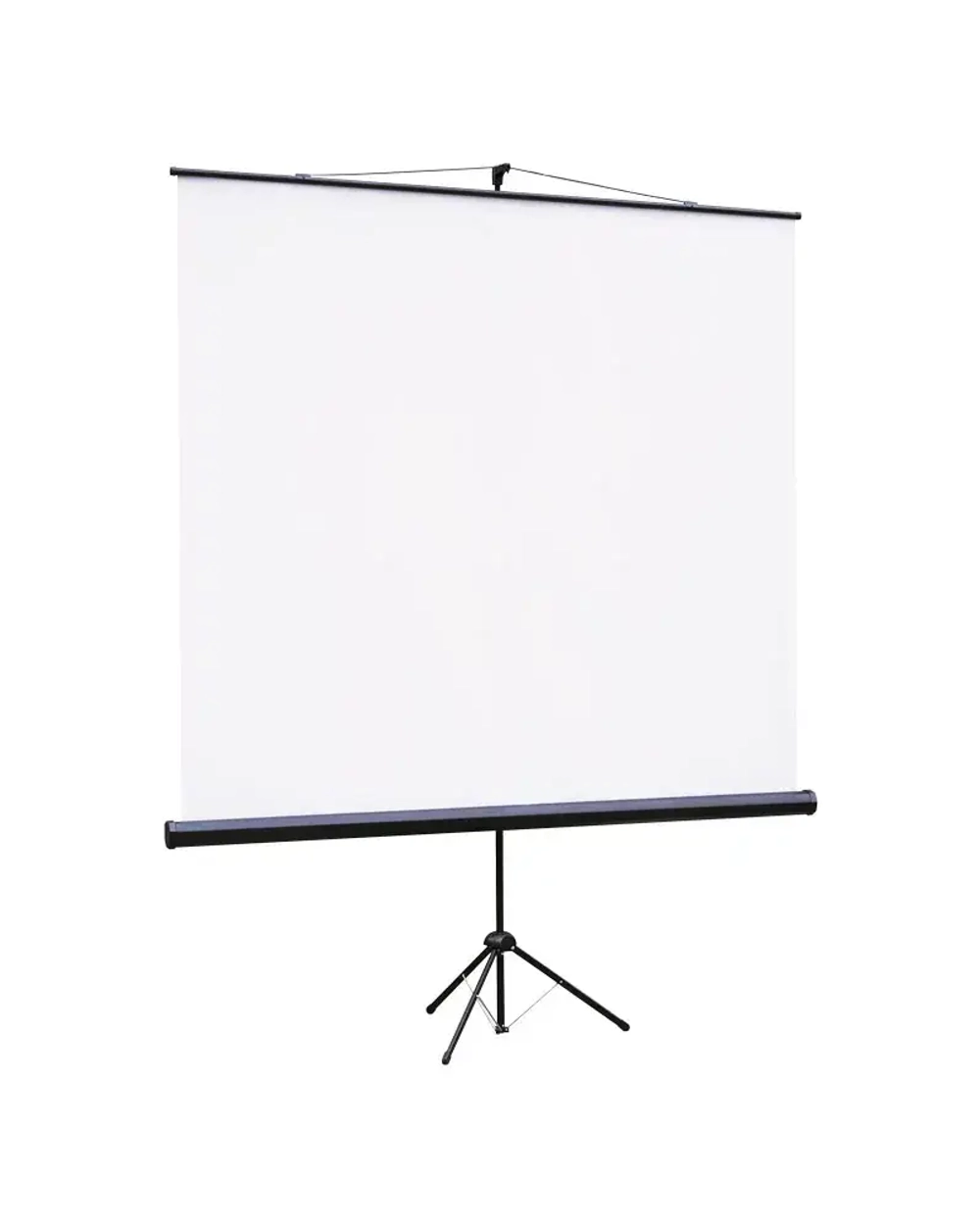 Экран на штативе Lumien 220x220 см (1:1) LEV-100109