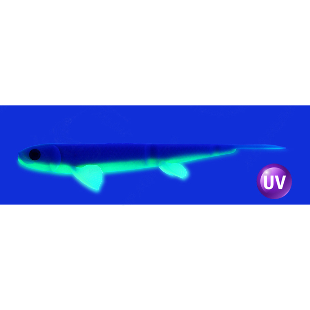 Слаг силиконовый Vido Craft Sebastian (17см / 7"), 2шт