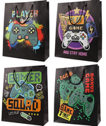 Пакет подарочный 26*32*10см. "Game" (Darvish)