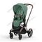 Прогулочная коляска Cybex Priam IV Leaf Green шасси Rosegold