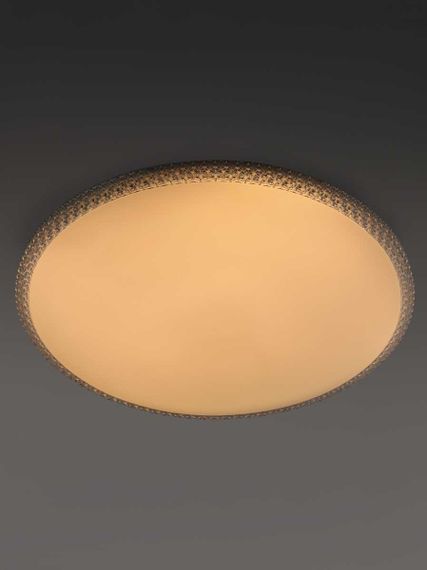 Светильник потолочный светодиодный Rivoli Eliana 6178-702 LED 3000K-6500k 80 Вт с пультом Б0069797