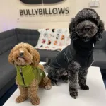 Непромокаемая попона Dog Coat BullyBillows