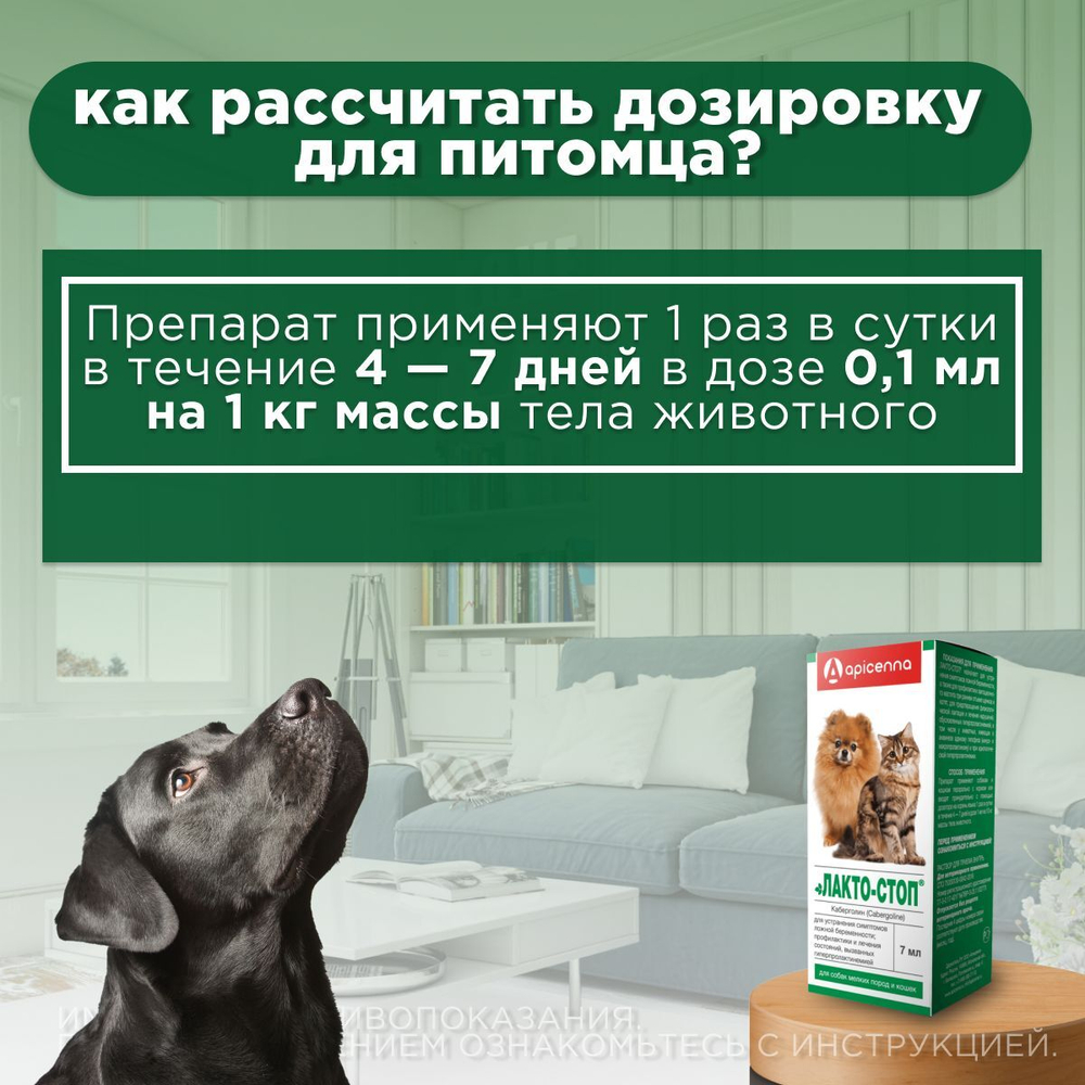 Лакто-Стоп для собак мелких пород и кошек флакон, 7 мл