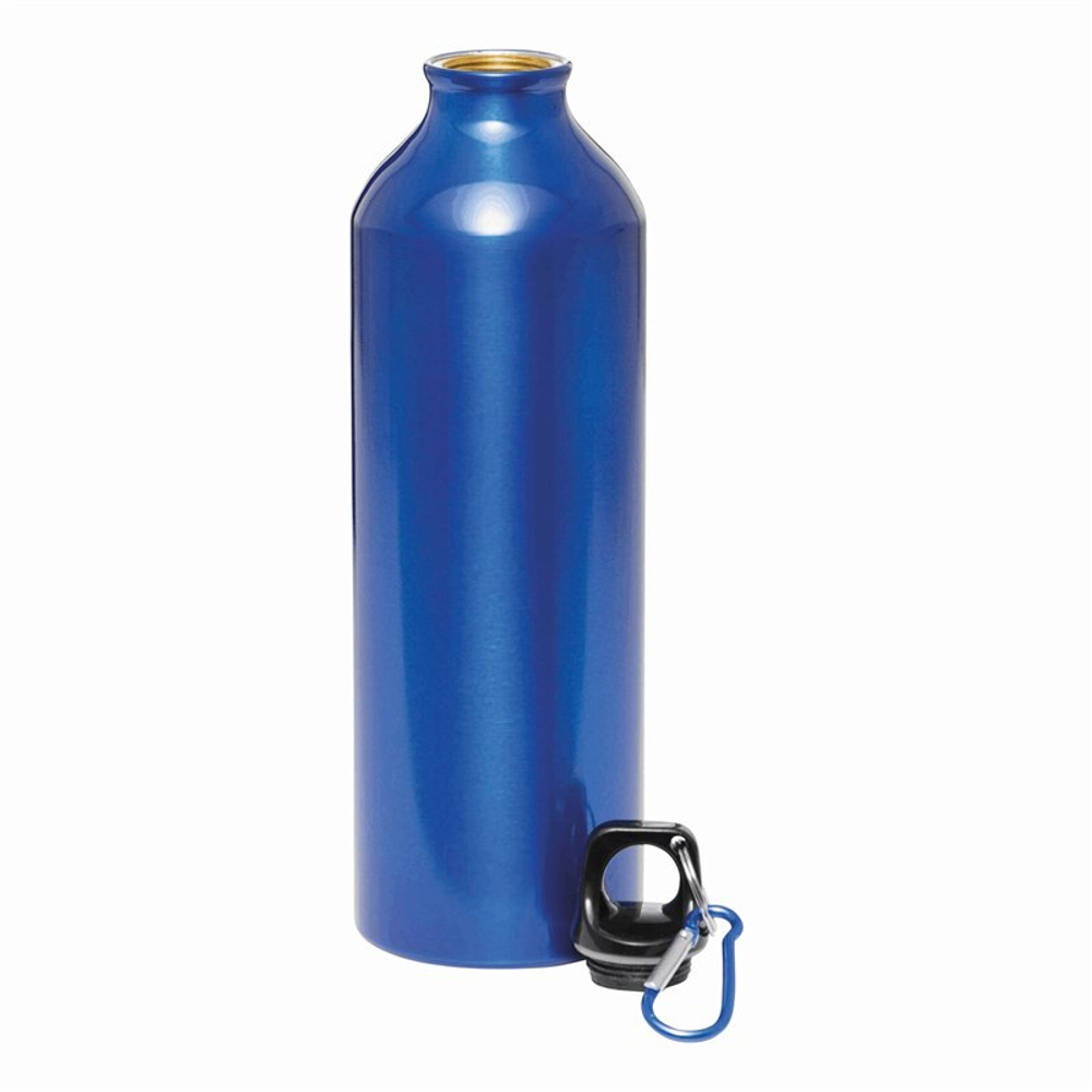 0603133_big-transit_02