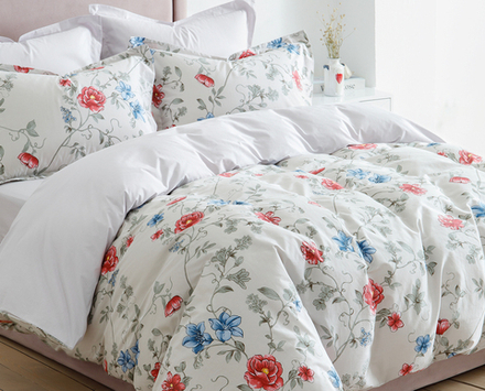 Постельное белье СайлиД BR-020 сатин