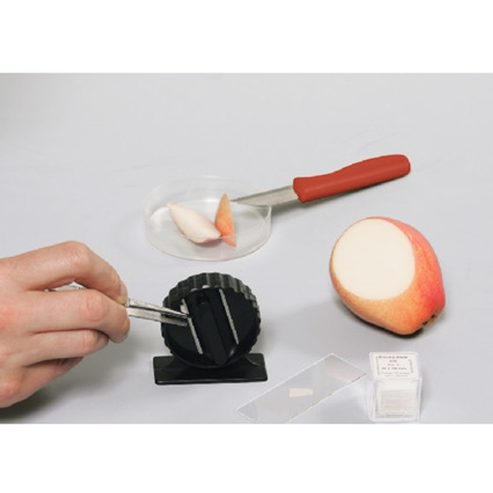 "Биология. Основы биологического практикума"