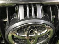 Решетка радиатора Toyota Land Cruiser Prado 150 (2017-н.в.)