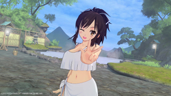 Neptunia x SENRAN KAGURA: Ninja Wars (для ПК, цифровой код доступа)