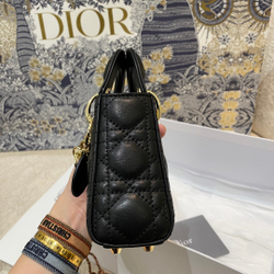 Christian Dior Lady Dior Micro