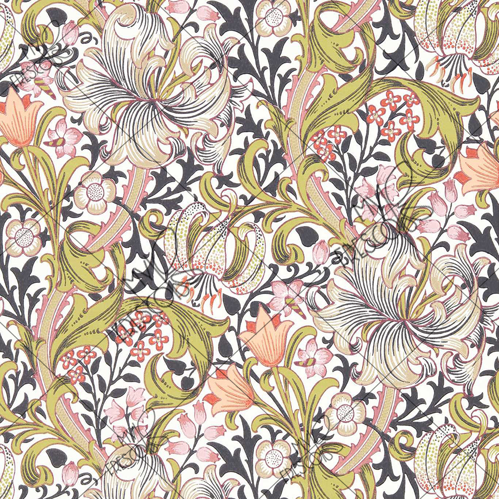 Коллекция MF0582