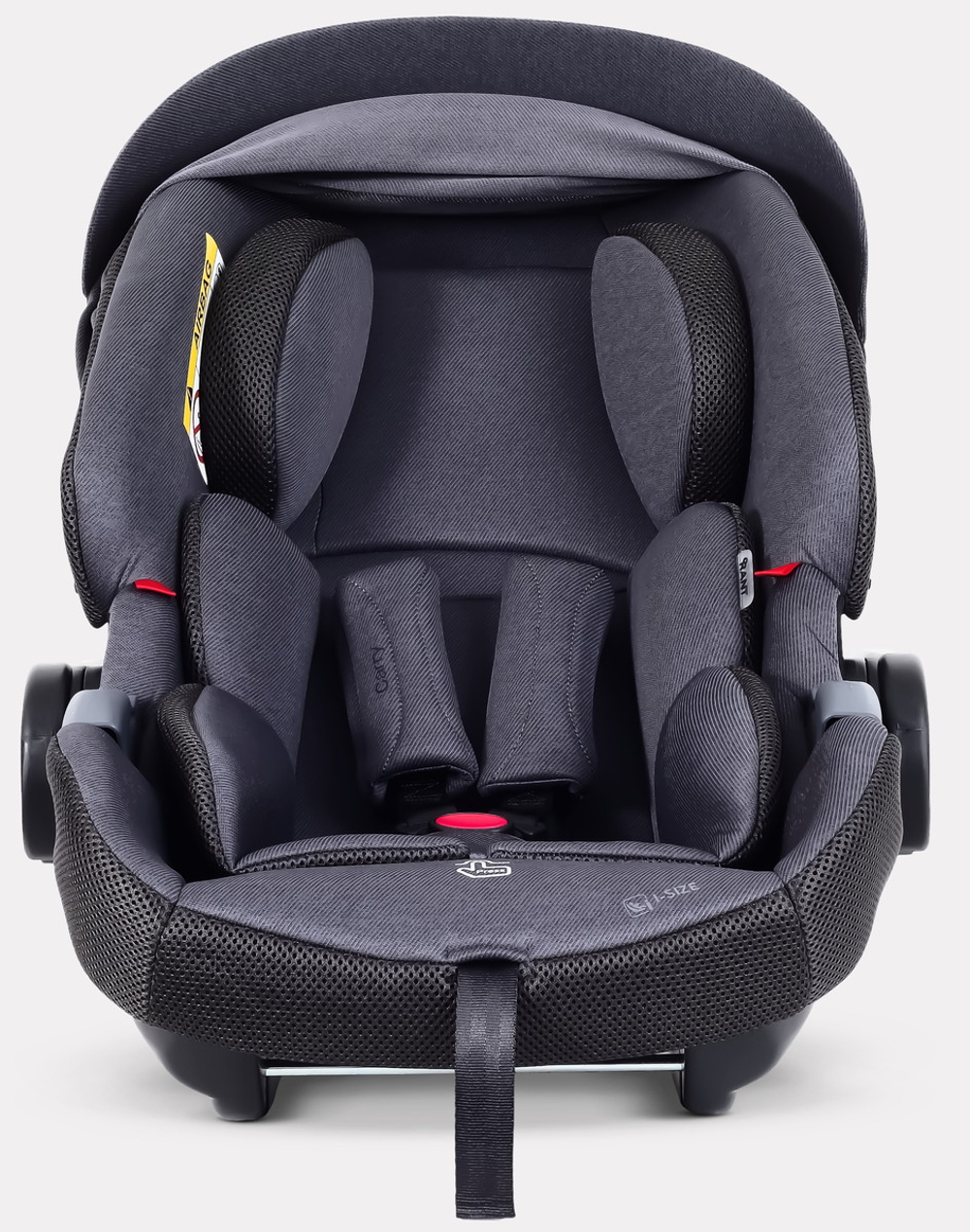 Детская коляска Rant Garda 3 в 1 с автокреслом Carry Pro Graphite Black