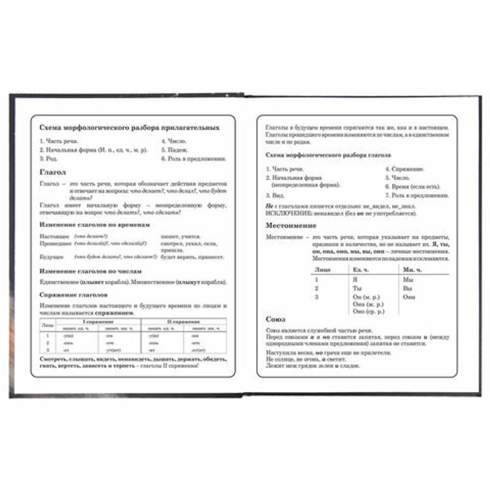 Дневник 1-4 класс 48 л., твердый, BRAUBERG, блестки, с подсказом, "Котик", 106364