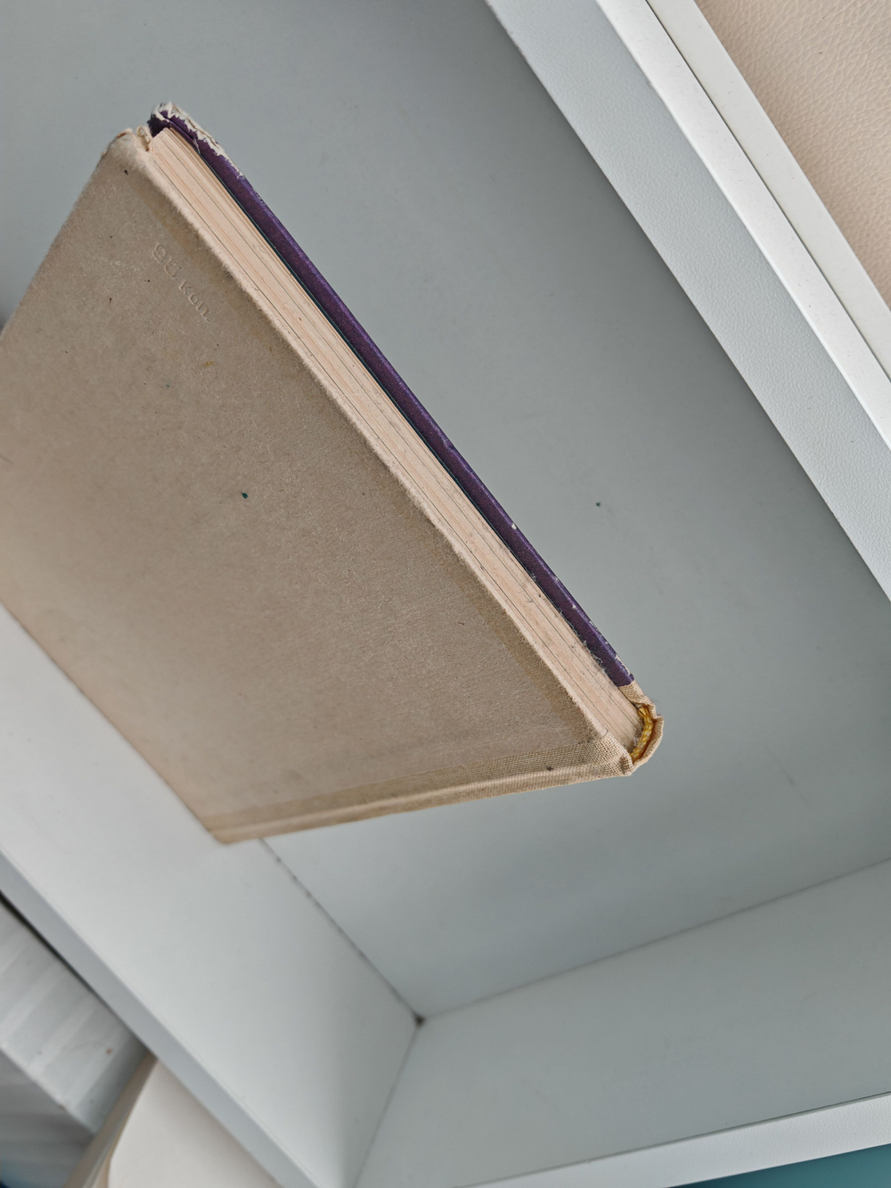 Три волшебных листочка