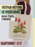 Сумка-шопер "Орхидеи еще не зацвели"