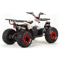 Квадроцикл Motoland 125 WILD A