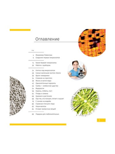 Книга знаний «Невидимый мир»