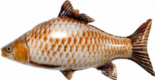 фигура " рыба "