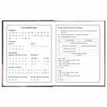 Дневник 1-4 класс 48 л., твердый, BRAUBERG, блестки, с подсказом, "Котик", 106364