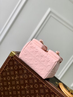 Louis Vuitton Backup