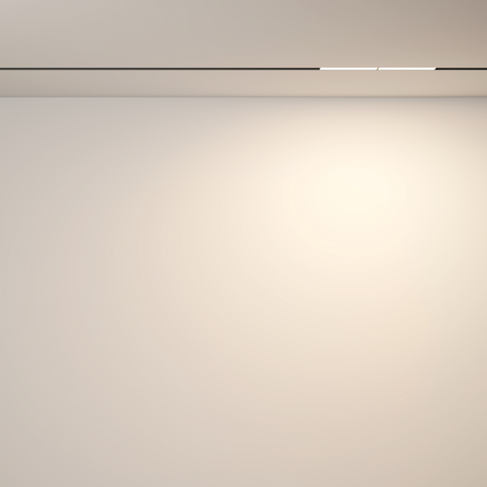 Трековый светильник Technical TR106-2-12W3K-B