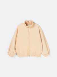 предметное