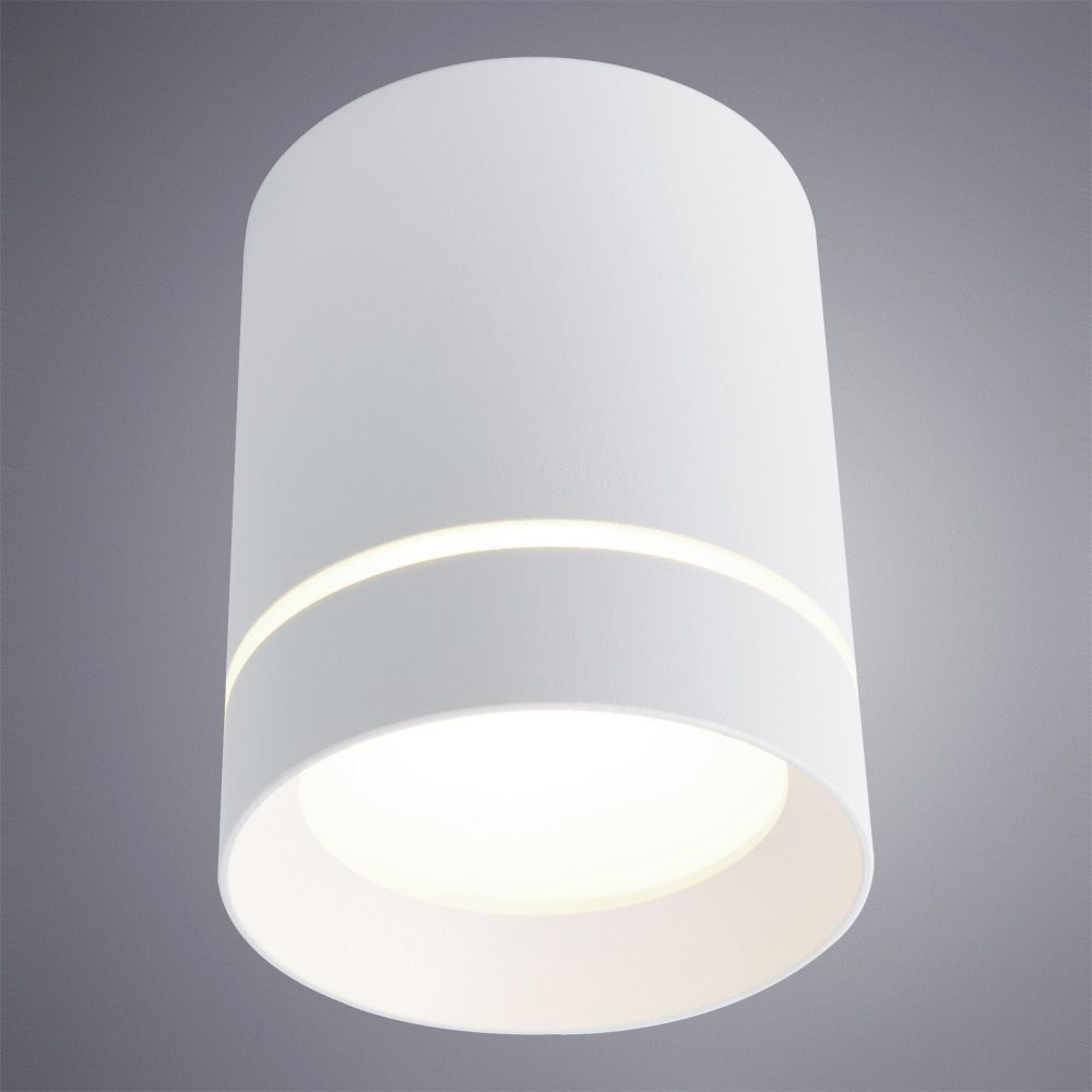 Накладной светильник Arte Lamp A1909PL-1WH