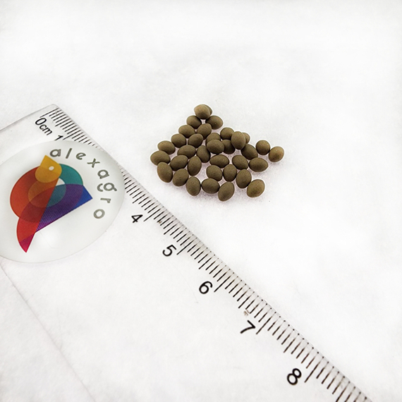 КЕОНА семена салата Rijk Zwaan семена – фото 10