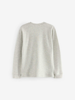 Лонгслив для мальчика Next Q55-698, 2 шт., Белый, Серый