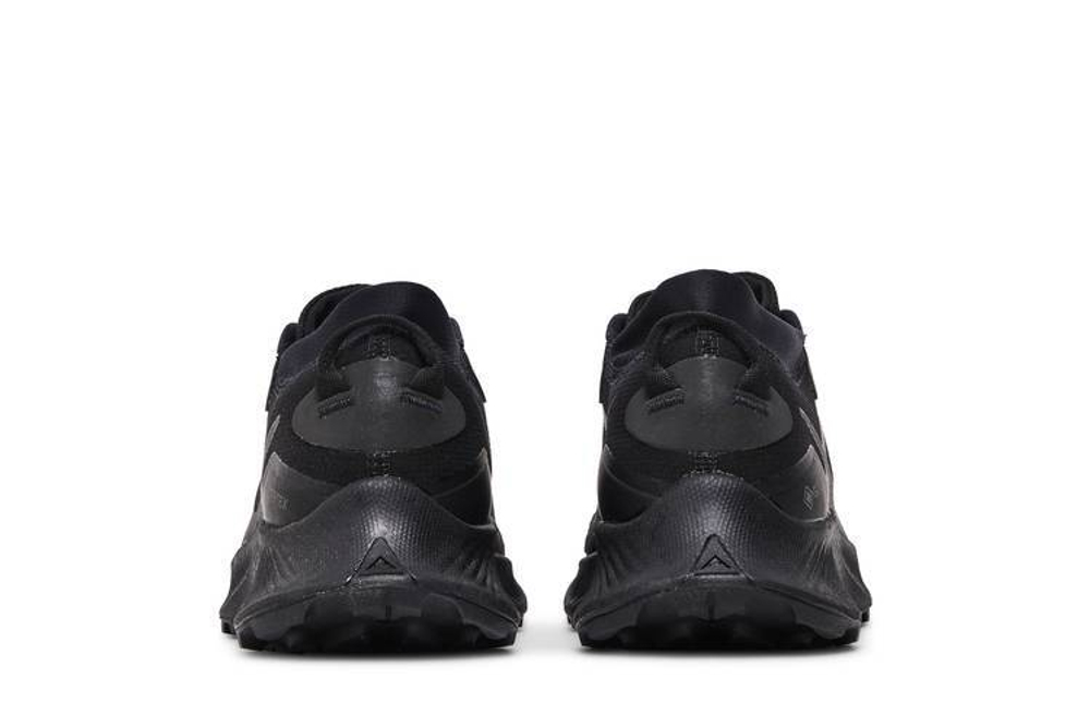 Кроссовки Nike Pegasus Trail 3 Gore-Tex "Black"