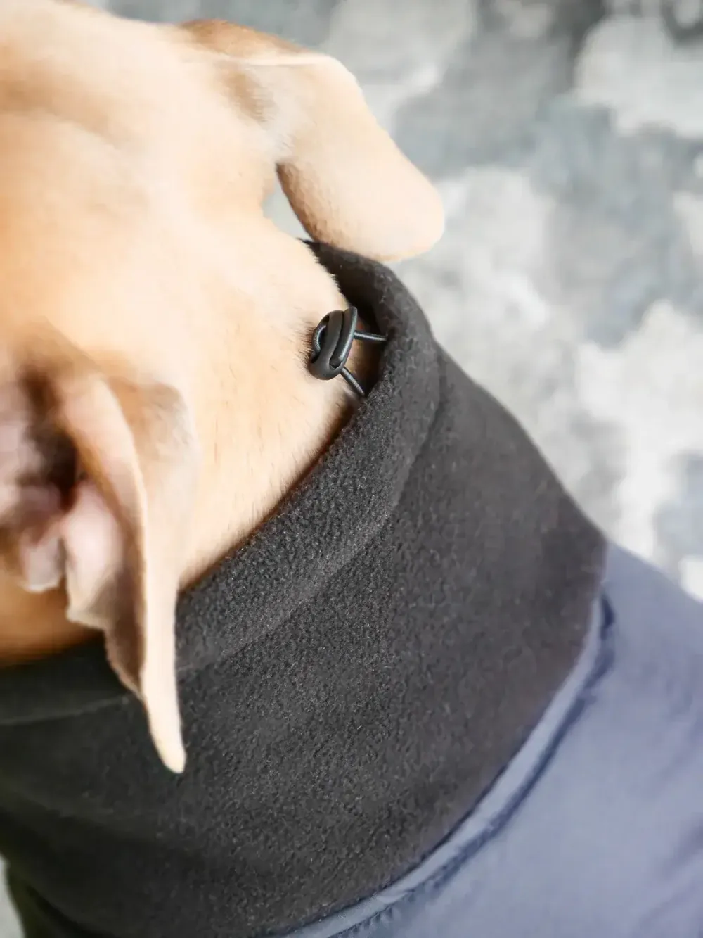 Непромокаемая попона Dog Coat BullyBillows