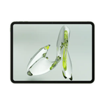 Планшет OnePlus Pad Go LTE 8/256Gb Twin Mint EU