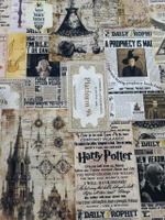 Футер 2х нитка петля по мотивам вселенной Гарри Поттера