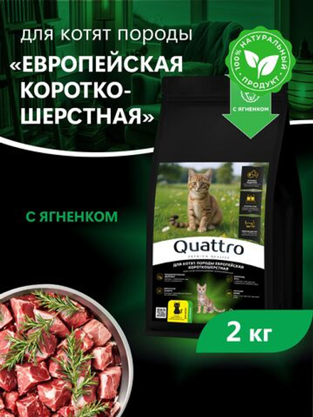 Корм сухой для котят породы Европейская короткошёрстная, с ягненком, 2кг, QUATTRO
