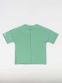 Футболка (Полынь) Basics