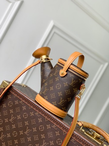 Louis Vuitton Watering Can Bag